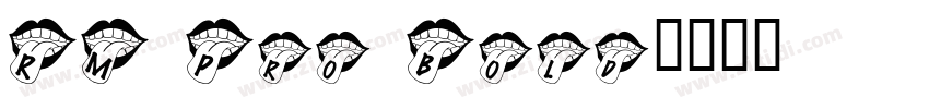 RM Pro Bold字体转换